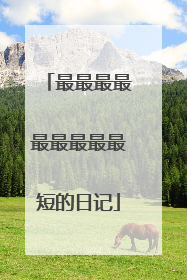 最最最最最最最最最短的日记