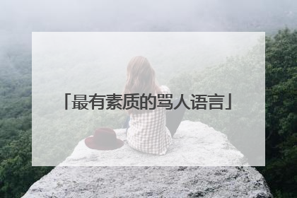 最有素质的骂人语言