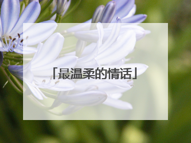 最温柔的情话