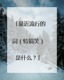 最近流行的词（特搞笑）是什么？