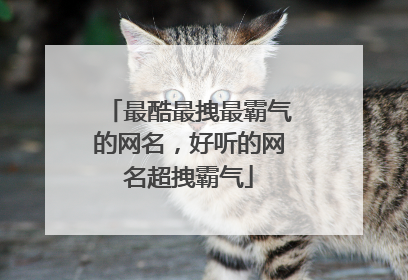 最酷最拽最霸气的网名，好听的网名超拽霸气