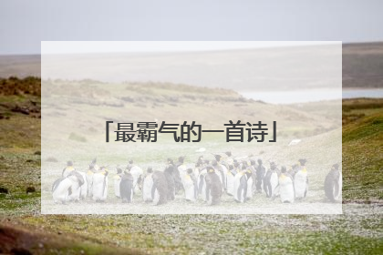 最霸气的一首诗