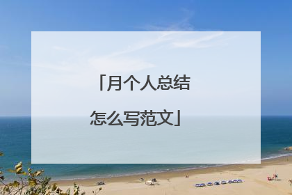 月个人总结怎么写范文
