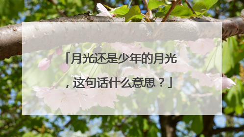 月光还是少年的月光，这句话什么意思？