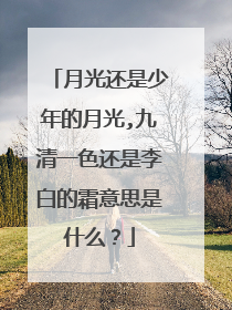 月光还是少年的月光,九清一色还是李白的霜意思是什么？