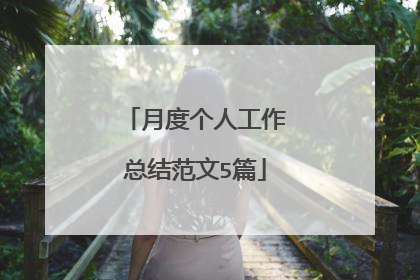 月度个人工作总结范文5篇