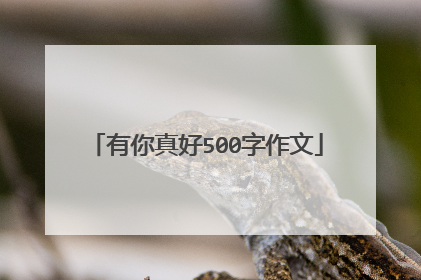 有你真好500字作文