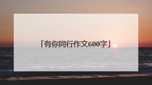 有你同行作文600字