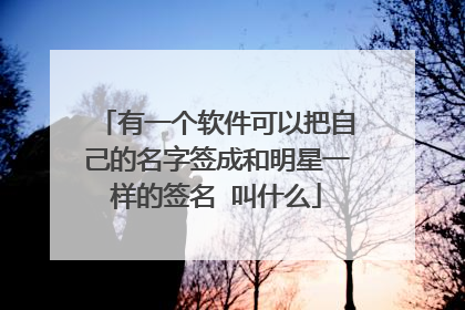 有一个软件可以把自己的名字签成和明星一样的签名 叫什么