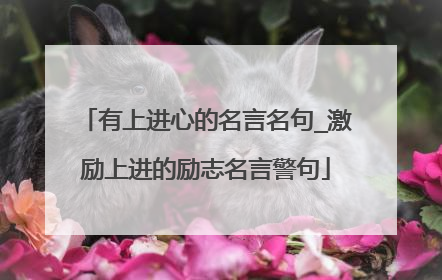有上进心的名言名句_激励上进的励志名言警句