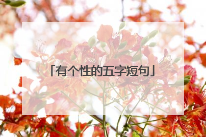 有个性的五字短句