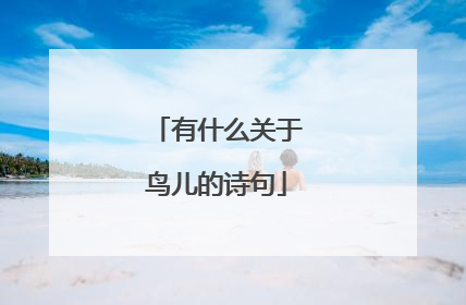 有什么关于鸟儿的诗句