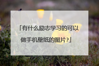 有什么励志学习的可以做手机壁纸的图片?