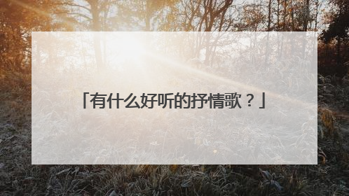 有什么好听的抒情歌？