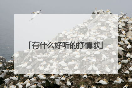 有什么好听的抒情歌