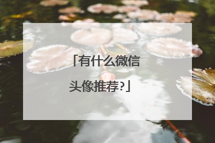 有什么微信头像推荐?