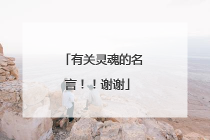有关灵魂的名言！！谢谢