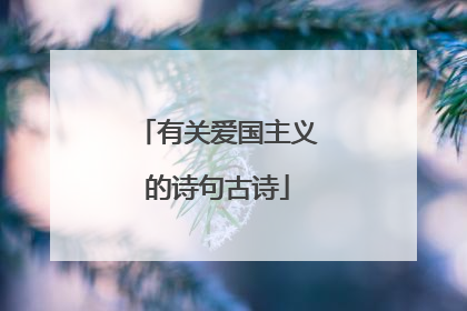 有关爱国主义的诗句古诗