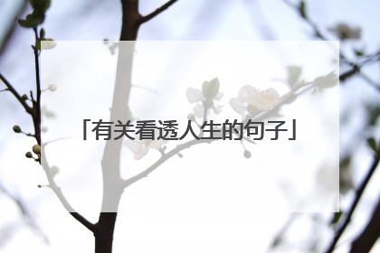 有关看透人生的句子