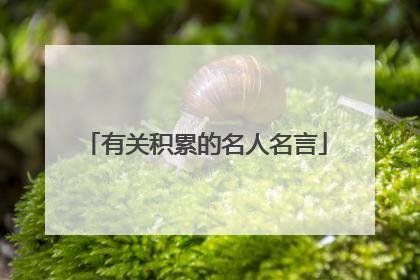 有关积累的名人名言