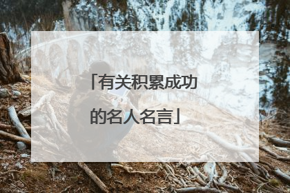 有关积累成功的名人名言