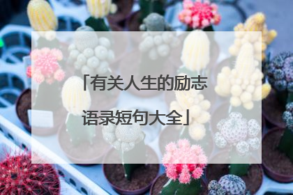 有关人生的励志语录短句大全