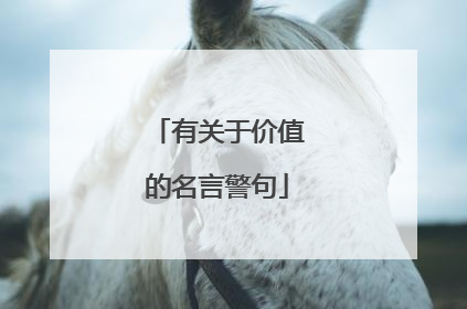 有关于价值的名言警句