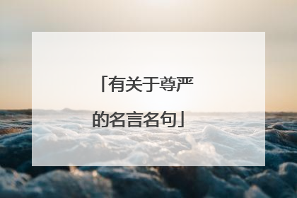 有关于尊严的名言名句