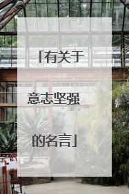 有关于意志坚强的名言