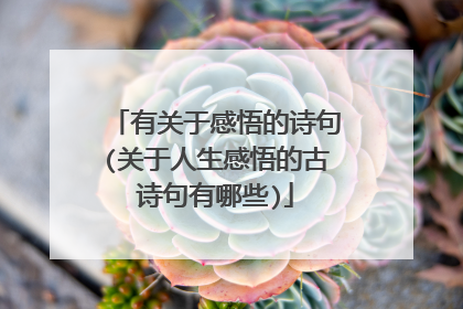 有关于感悟的诗句(关于人生感悟的古诗句有哪些)