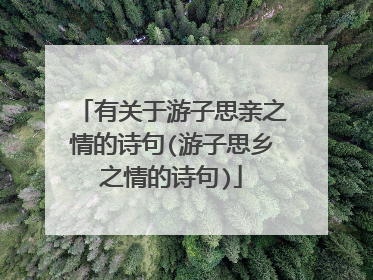 有关于游子思亲之情的诗句(游子思乡之情的诗句)