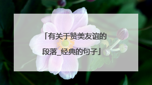 有关于赞美友谊的段落_经典的句子
