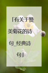 有关于赞美菊花的诗句_经典诗句