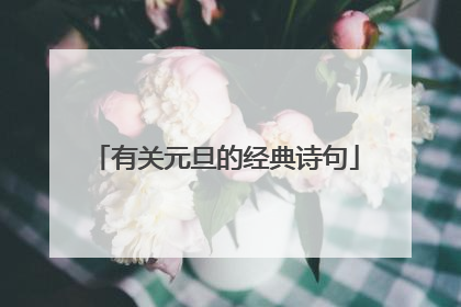 有关元旦的经典诗句