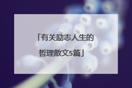 有关励志人生的哲理散文5篇