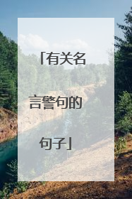 有关名言警句的句子