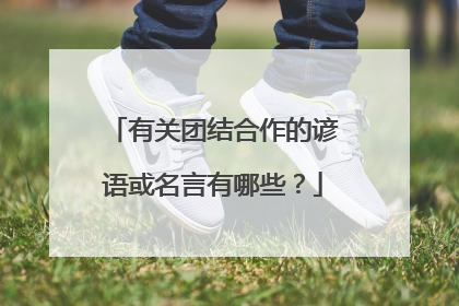 有关团结合作的谚语或名言有哪些？