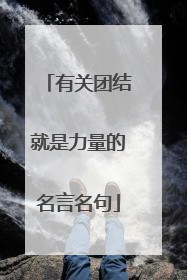 有关团结就是力量的名言名句