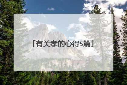 有关孝的心得5篇