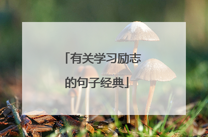 有关学习励志的句子经典