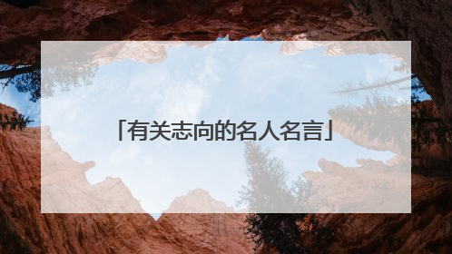 有关志向的名人名言