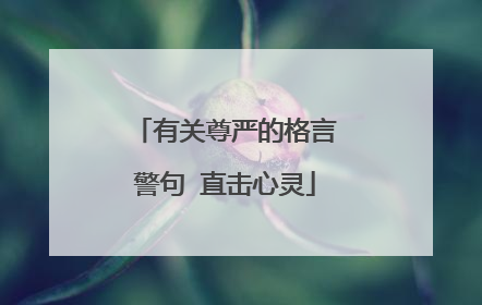 有关尊严的格言警句 直击心灵