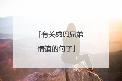有关感恩兄弟情谊的句子