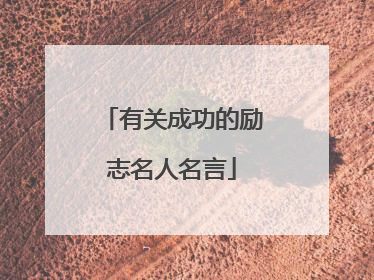 有关成功的励志名人名言