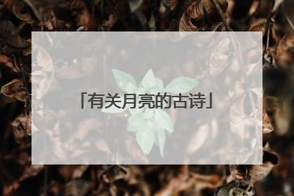 有关月亮的古诗