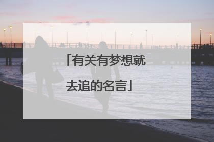 有关有梦想就去追的名言