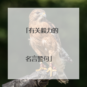 有关毅力的名言警句