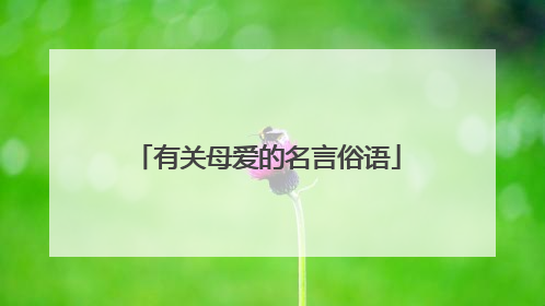 有关母爱的名言俗语
