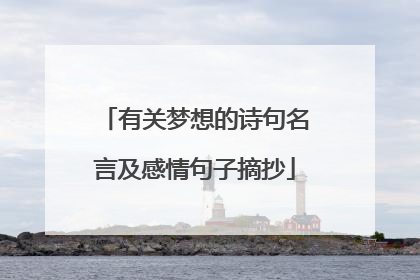 有关梦想的诗句名言及感情句子摘抄