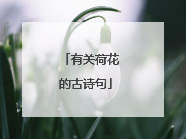 有关荷花的古诗句
